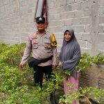 IMG-20260604-WA0001